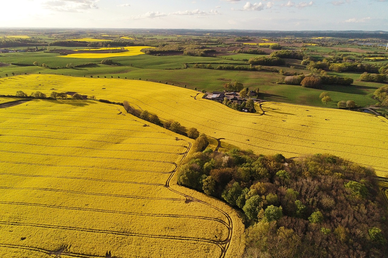 Aerial view of golden and green agricultural crop fields