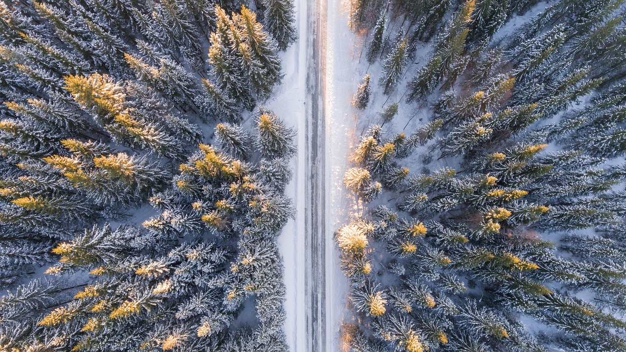 Aerial view of pristine forest, river and natural environment